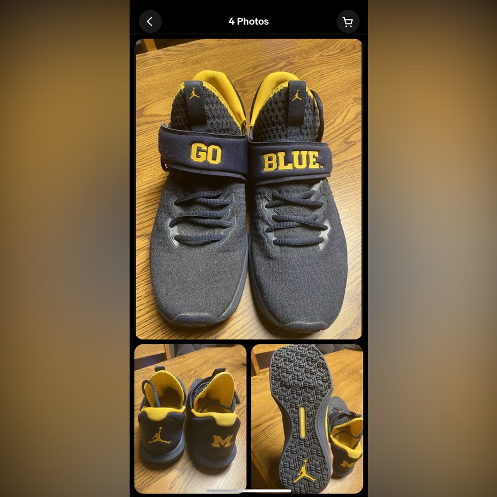 Air Jordan UofM shoes
